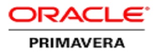 SW Oracle Primavera řízení portfolií, projektů, rizik projektů, zdrojů na projektech